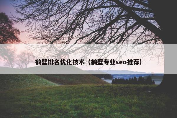 鹤壁排名优化技术（鹤壁专业seo推荐）
