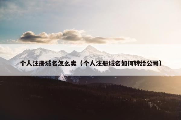 个人注册域名怎么卖（个人注册域名如何转给公司）