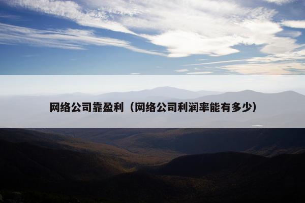 网络公司靠盈利（网络公司利润率能有多少）