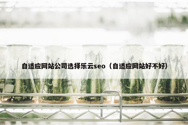 自适应网站公司选择乐云seo（自适应网站好不好）