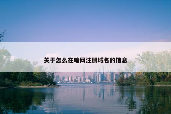 关于怎么在暗网注册域名的信息