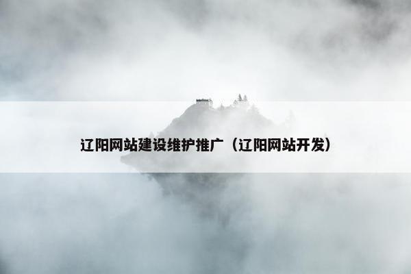 辽阳网站建设维护推广（辽阳网站开发）