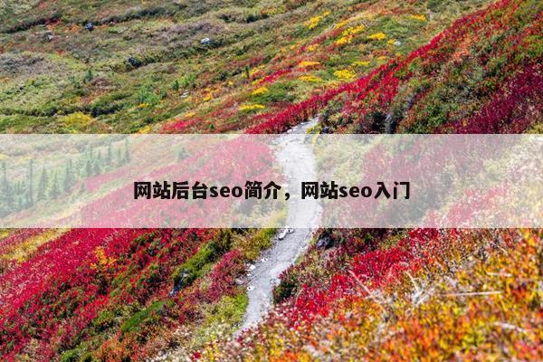 网站后台seo简介，网站seo入门