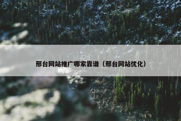 邢台网站推广哪家靠谱（邢台网站优化）