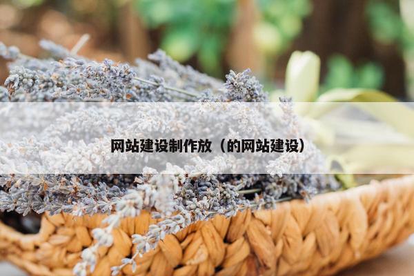 网站建设制作放（的网站建设）