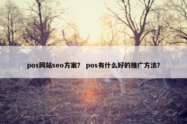 pos网站seo方案？ pos有什么好的推广方法？