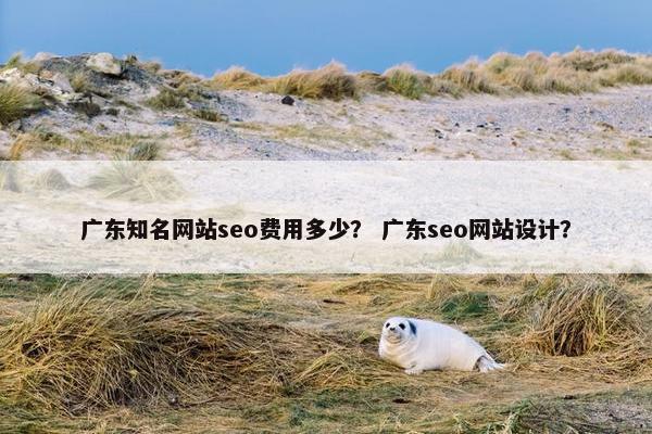 广东知名网站seo费用多少？ 广东seo网站设计？
