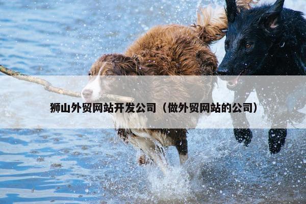 狮山外贸网站开发公司（做外贸网站的公司）