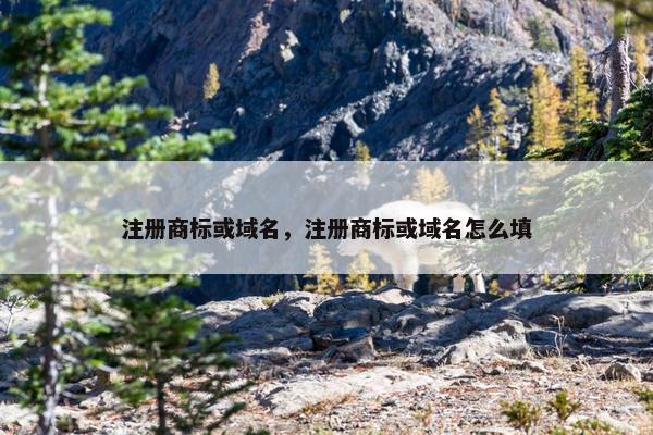 注册商标或域名，注册商标或域名怎么填