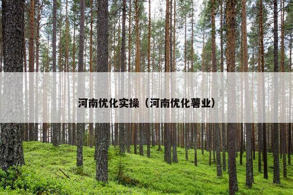 河南优化实操（河南优化薯业）