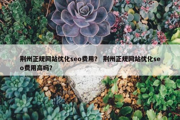 荆州正规网站优化seo费用？ 荆州正规网站优化seo费用高吗？