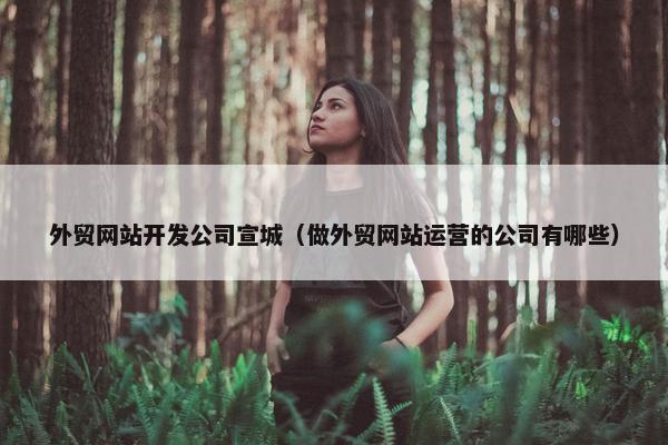 外贸网站开发公司宣城（做外贸网站运营的公司有哪些）