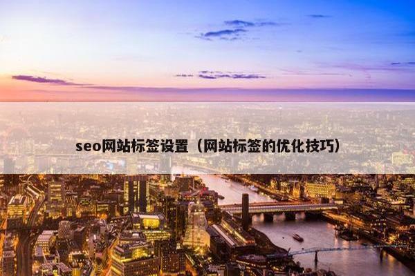 seo网站标签设置（网站标签的优化技巧）