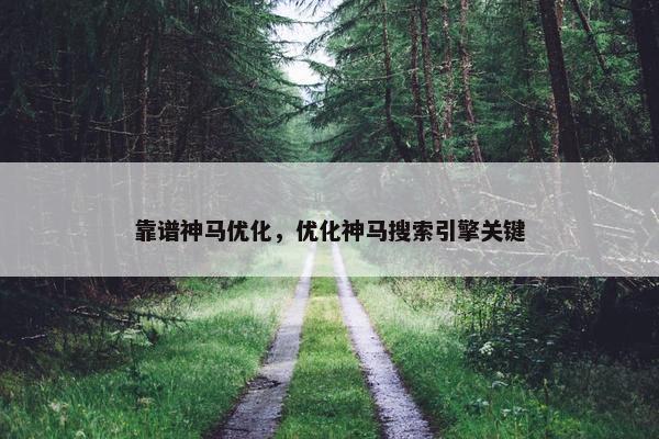 靠谱神马优化，优化神马搜索引擎关键
