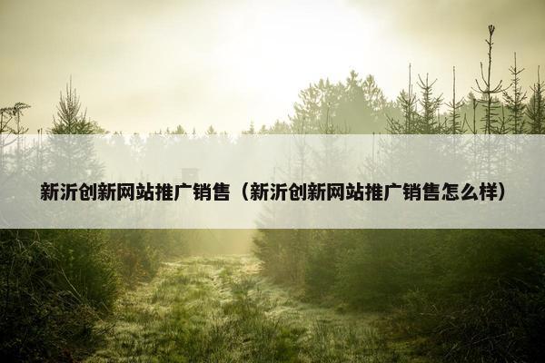 新沂创新网站推广销售（新沂创新网站推广销售怎么样）