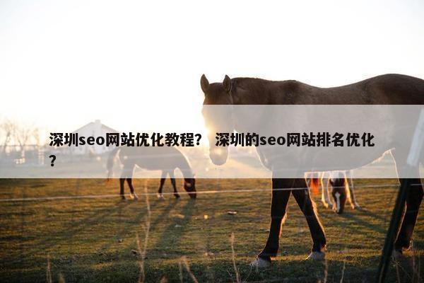 深圳seo网站优化教程？ 深圳的seo网站排名优化？