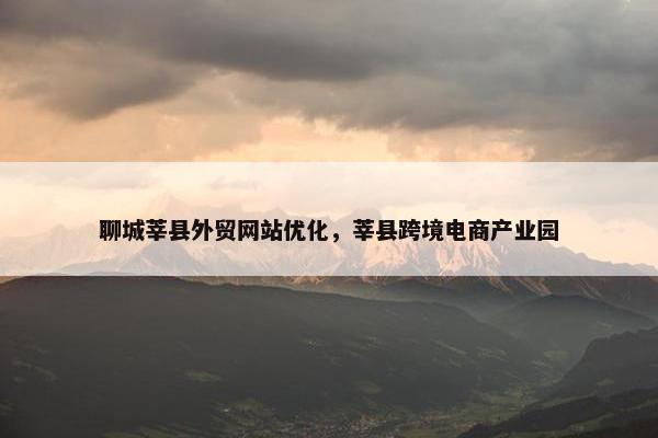 聊城莘县外贸网站优化，莘县跨境电商产业园