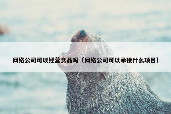 网络公司可以经营食品吗（网络公司可以承接什么项目）