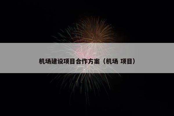 机场建设项目合作方案（机场 项目）