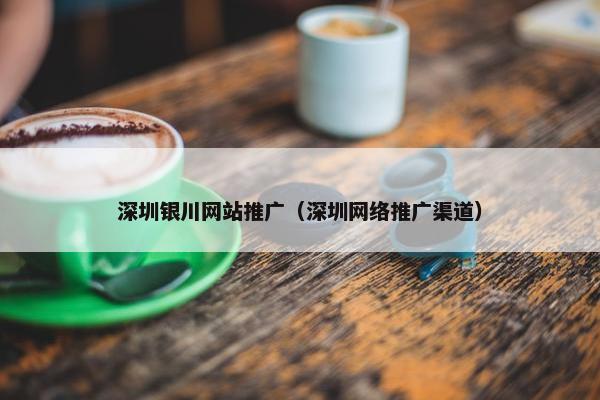 深圳银川网站推广（深圳网络推广渠道）