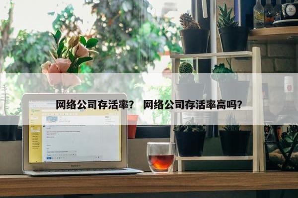 网络公司存活率？ 网络公司存活率高吗？