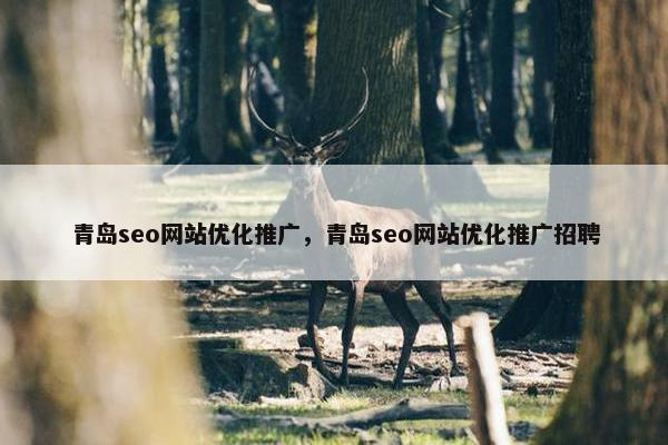 青岛seo网站优化推广，青岛seo网站优化推广招聘