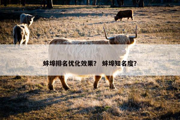 蚌埠排名优化效果？ 蚌埠知名度？