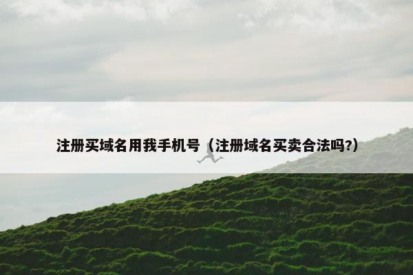 注册买域名用我手机号（注册域名买卖合法吗?）