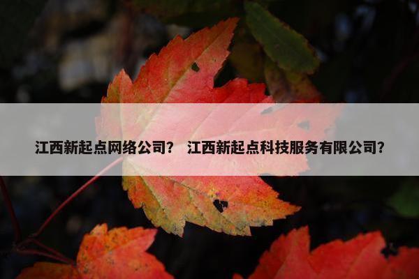江西新起点网络公司？ 江西新起点科技服务有限公司？