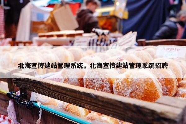 北海宣传建站管理系统，北海宣传建站管理系统招聘
