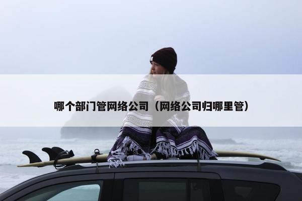 哪个部门管网络公司（网络公司归哪里管）