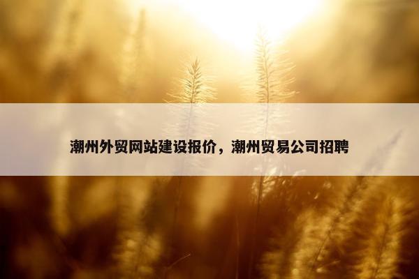潮州外贸网站建设报价，潮州贸易公司招聘