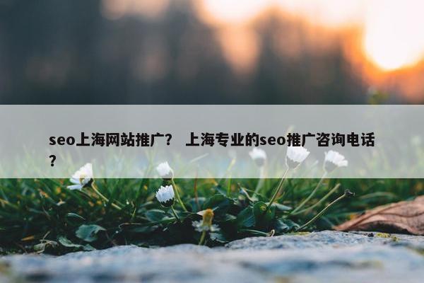 seo上海网站推广？ 上海专业的seo推广咨询电话？