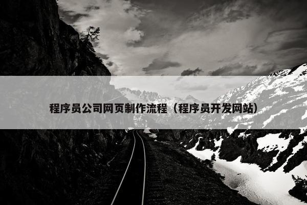 程序员公司网页制作流程（程序员开发网站）