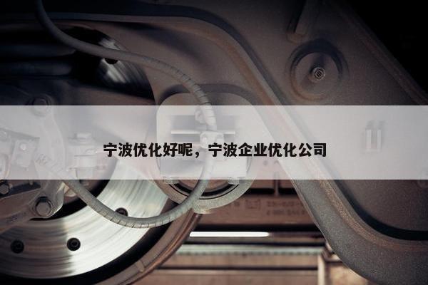 宁波优化好呢，宁波企业优化公司