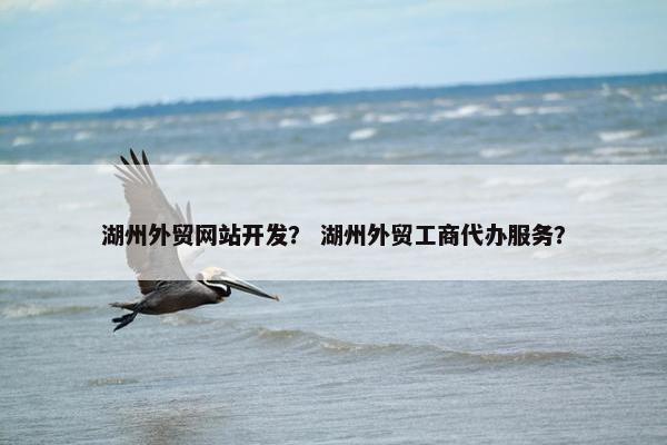 湖州外贸网站开发？ 湖州外贸工商代办服务？