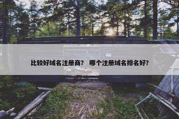 比较好域名注册商？ 哪个注册域名排名好？