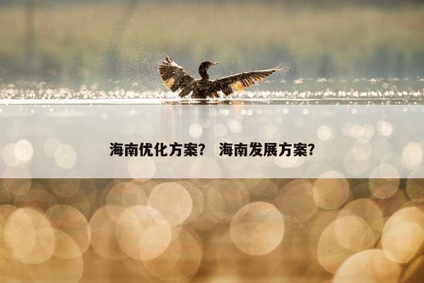 海南优化方案？ 海南发展方案？