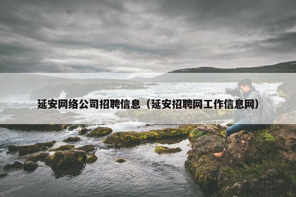 延安网络公司招聘信息（延安招聘网工作信息网）