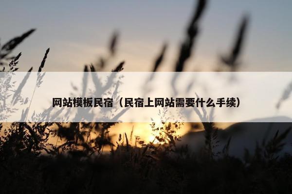 网站模板民宿（民宿上网站需要什么手续）