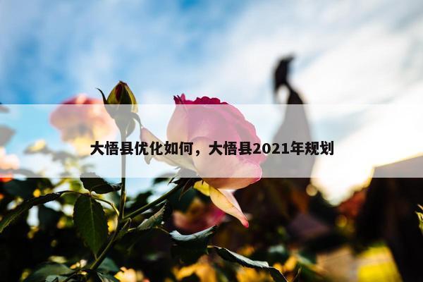 大悟县优化如何，大悟县2021年规划