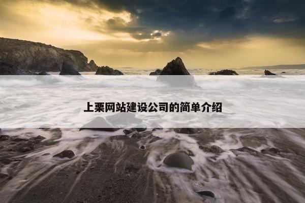 上栗网站建设公司的简单介绍