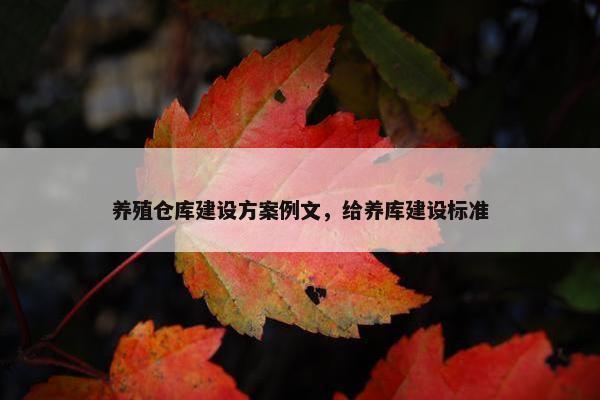 养殖仓库建设方案例文，给养库建设标准