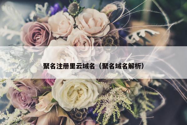 聚名注册里云域名（聚名域名解析）