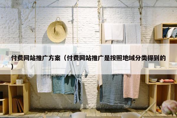 付费网站推广方案（付费网站推广是按照地域分类得到的）