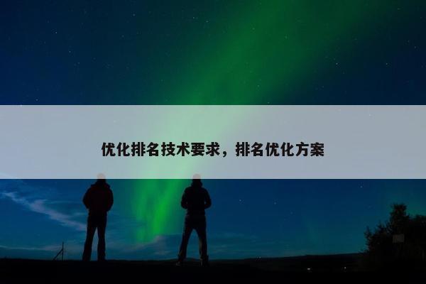优化排名技术要求，排名优化方案