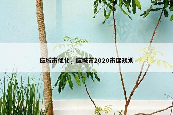 应城市优化，应城市2020市区规划