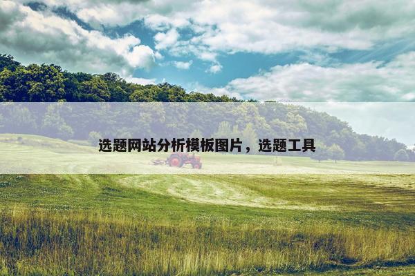 选题网站分析模板图片，选题工具