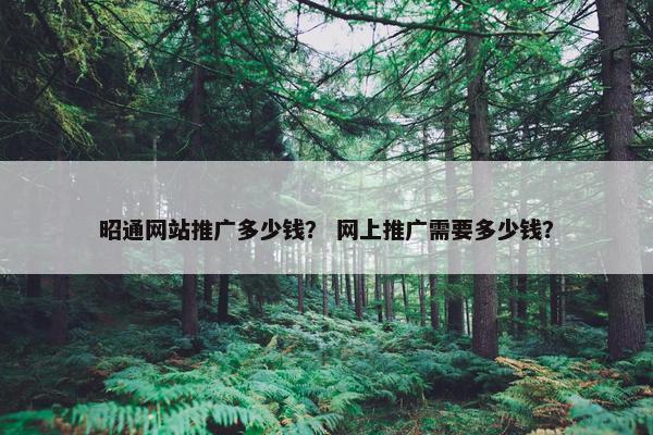 昭通网站推广多少钱？ 网上推广需要多少钱？