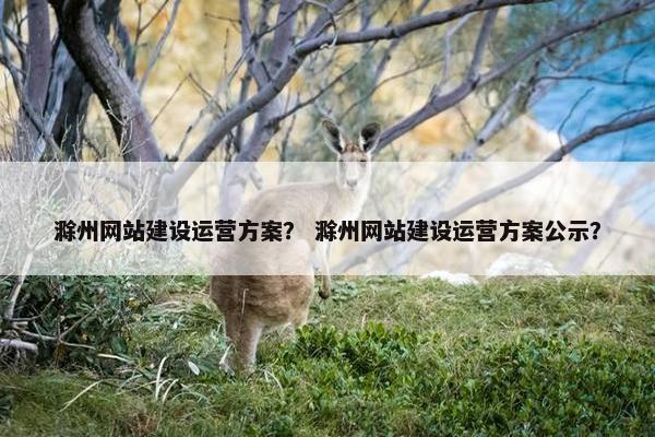 滁州网站建设运营方案？ 滁州网站建设运营方案公示？
